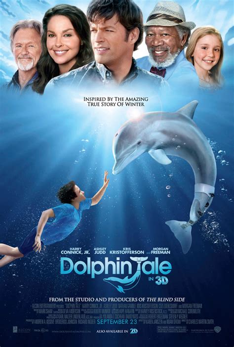 Poster of Dolphin Tale Movie